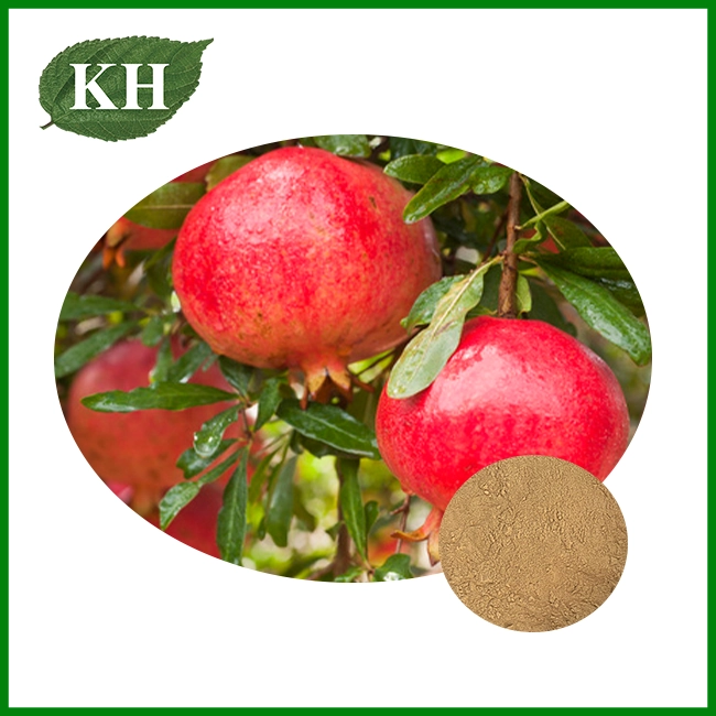 Pomegranate Peel Extract Powder
